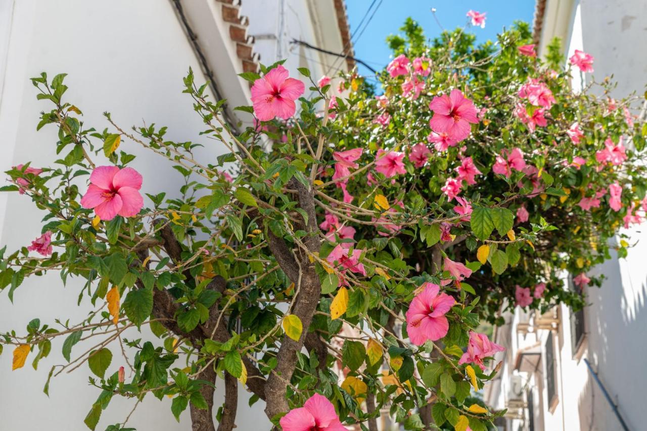 Lovely Cozy 2-Bedroom Residential Home With Patio Benalmádena Esterno foto